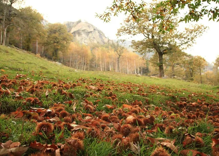 Mansarda Plein Soleil